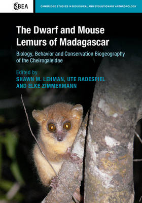 Dwarf and Mouse Lemurs of Madagascar - 