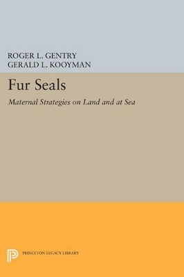 Fur Seals - 