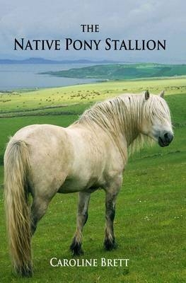 The Native Pony Stallion - Caroline Brett