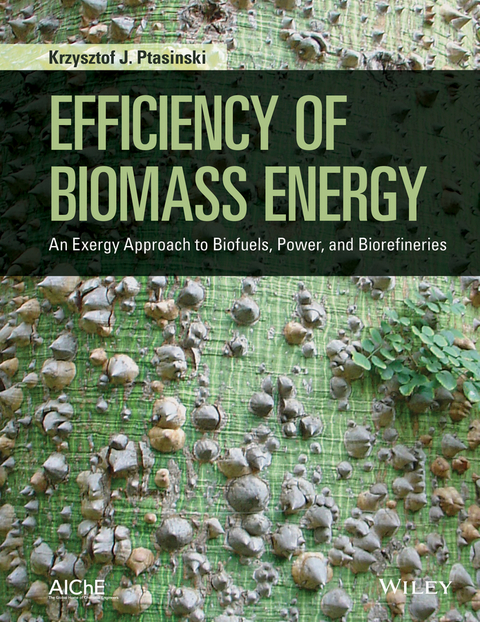 Efficiency of Biomass Energy -  Krzysztof J. Ptasinski