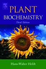 Plant Biochemistry - Hans-Walter Heldt, Birgit Piechulla