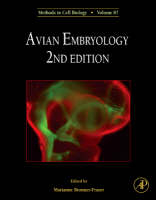 Avian Embryology - 