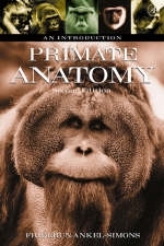 Primate Anatomy - Friderun Ankel-Simons