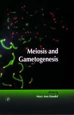 Meiosis and Gametogenesis - 