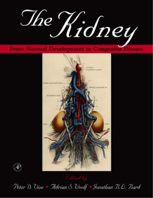 The Kidney - 