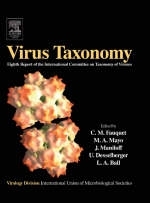 Virus Taxonomy - 