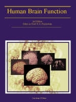 Human Brain Function - 