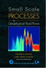 Small Scale Processes in Geophysical Fluid Flows - Lakshmi H. Kantha, Carol Anne Clayson
