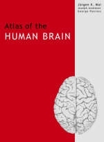 Atlas of the Human Brain - Juergen K. Mai, George Paxinos, Joseph K. Assheuer