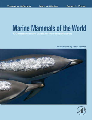 Marine Mammals of the World: A Comprehensive Guide to Their Identification - Thomas Allen Jefferson, Marc A. Webber, Robert L. Pitman