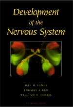 Development of the Nervous System - Dan H. Sanes, Thomas A. Reh, William Harris