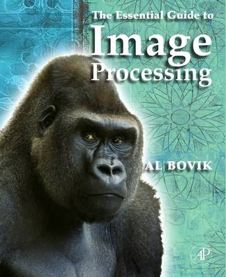 The Essential Guide to Image Processing - 