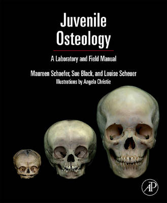 Juvenile Osteology - Louise Scheuer, Sue Black, Maureen C. Schaefer