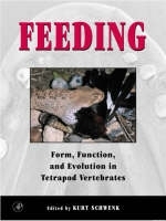 Feeding - 