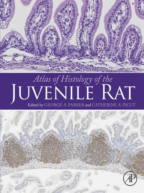 Atlas of Histology of the Juvenile Rat - 