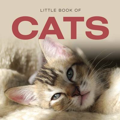Little Book of Cats - Jon Stroud