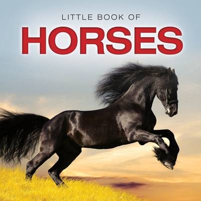 Little Book of Horses - Jon Stroud