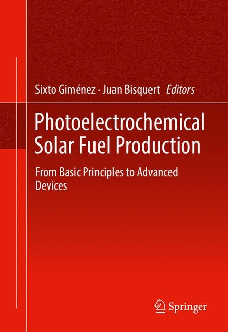 Photoelectrochemical Solar Fuel Production - 