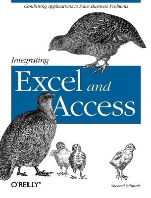 Integrating Excel and Access - Michael Schmalz