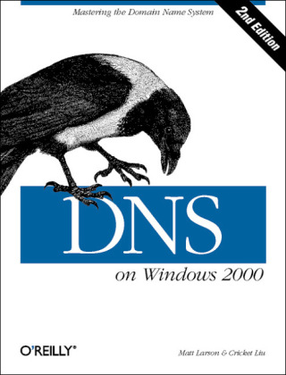 DNS on Windows 2000 -  Matt Larson &  Cricket Lui