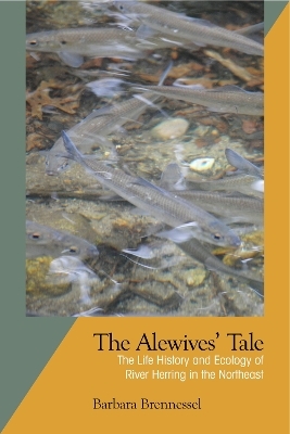 The Alewives Tale - Barbara Brennessel
