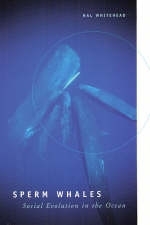 Sperm Whales - Hal Whitehead
