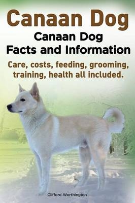 Canaan Dog. Canaan Dog Facts and Information. Canaan Dog Care, Costs, Feeding, Grooming, Training, Health All Included. - Clifford Worthington
