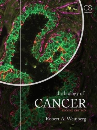 The Biology of Cancer - Robert A. Weinberg