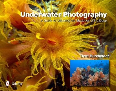 Underwater Photography - Trent Burkholder