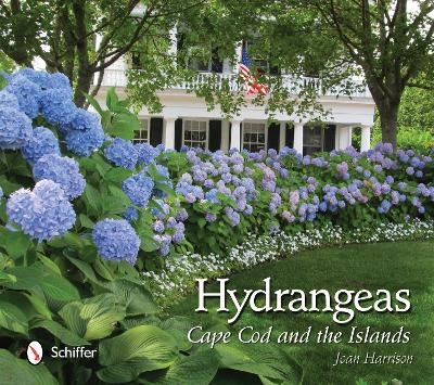 Hydrangeas - Joan Harrison