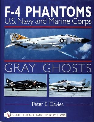 Gray Ghosts - Peter E. Davies