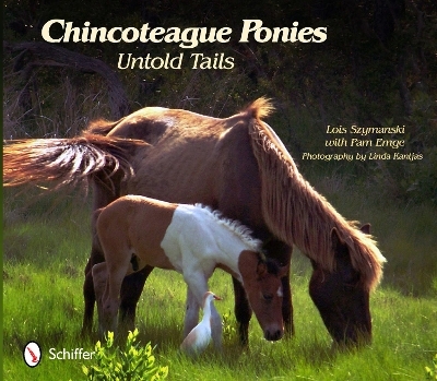 Chincoteague Ponies - Lois Szymanski