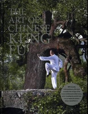 The Art of Chinese Kung Fu - Zhang Zheyi