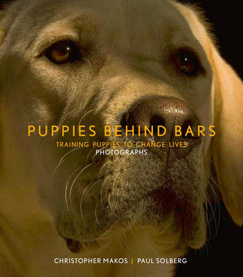 Puppies Behind Bars - 