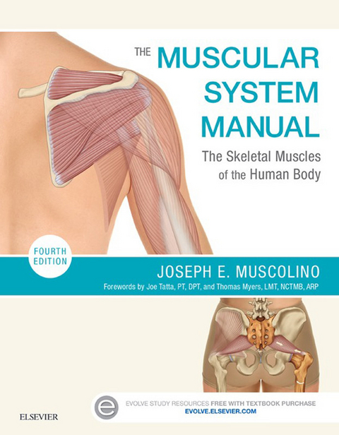 Muscular System Manual -  Joseph E. Muscolino