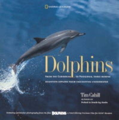 Dolphins - Tim Cahill