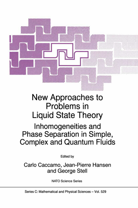 New Approaches to Problems in Liquid State Theory - 
