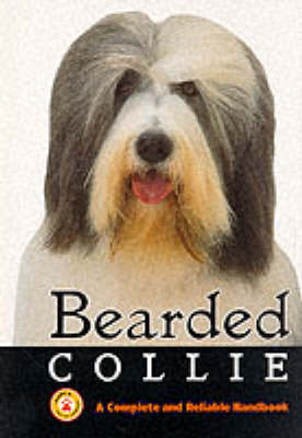 Bearded Collie - Carol Gold