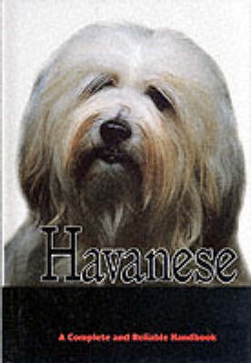 Havanese - Dorothy Goodale