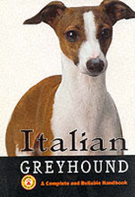 Italian Greyhound - Dean Keppler