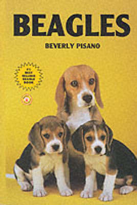 Beagles - 