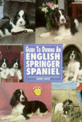 Guide to Owning an English Springer Spaniel - Gabriel Garcia