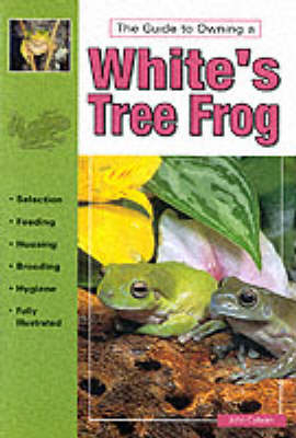 White's Tree Frogs - John Coborn