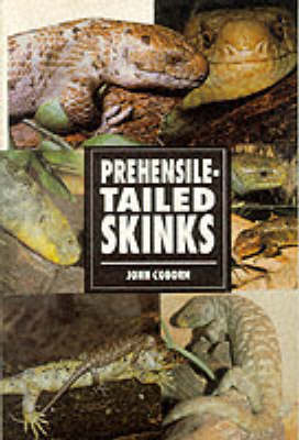 Prehensile-tailed Skinks - John Coborn