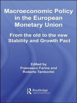 Macroeconomic Policy in the European Monetary Union - 