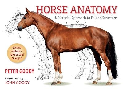 Horse Anatomy - Peter Goody