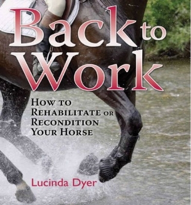 Back to Work - Lucinda Dyer