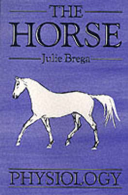 The Horse - Julie Brega