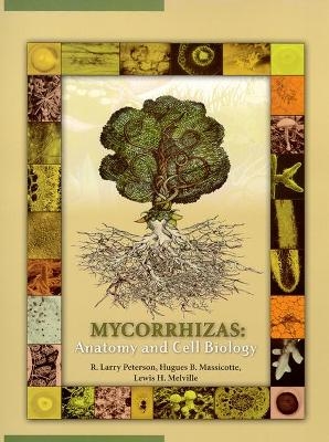 Mycorrhizas - R. Peterson, Hugues Massicotte, Lewis Melville