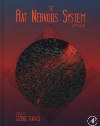 The Rat Nervous System - 